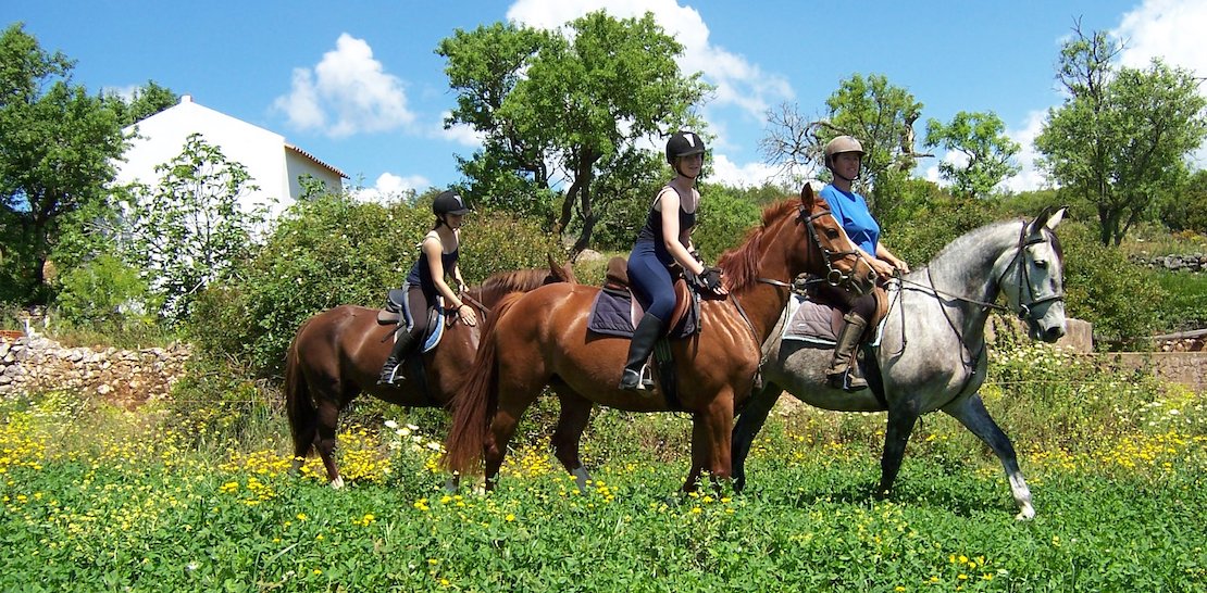 Horseriding Praia da Luz _ Tiffany's Riding Centre_Family Activities in Praia da Luz blog The Villa Agency