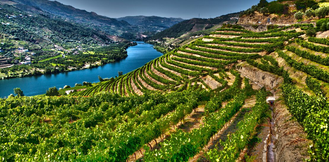Douro Valley  portugal